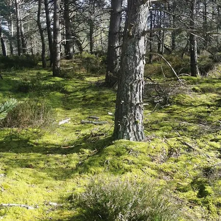 Jolie Dependance Proche Foret- Nemours Poligny  Exterior foto